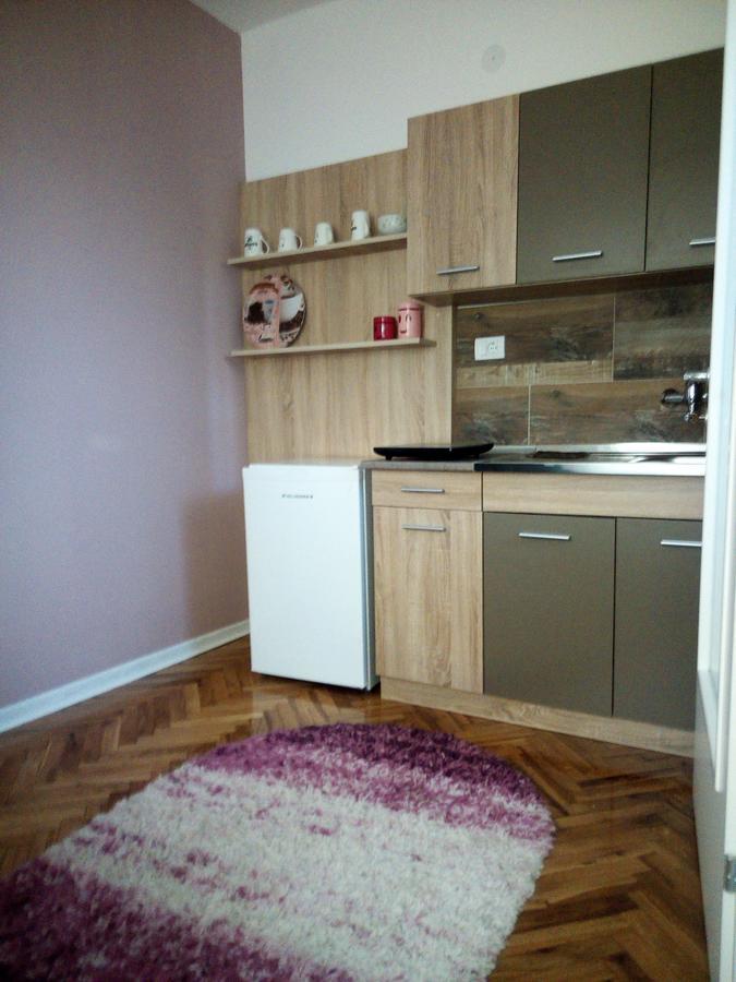 Apartment Holiday Vrnjacka Banja Bagian luar foto